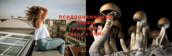 бутират Абинск