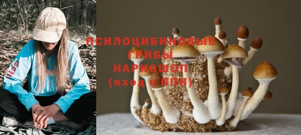 соль ск Лиски